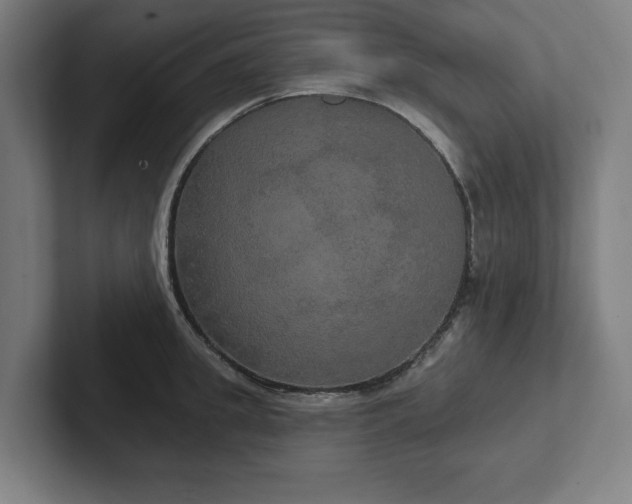 X0000102410949200808011604