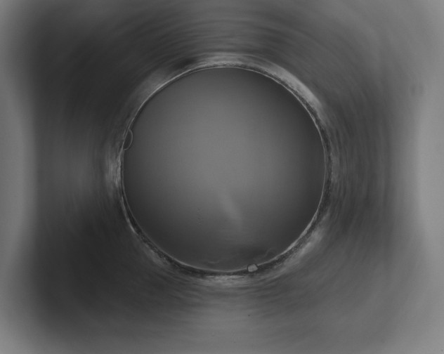 X0000102410953200808011605