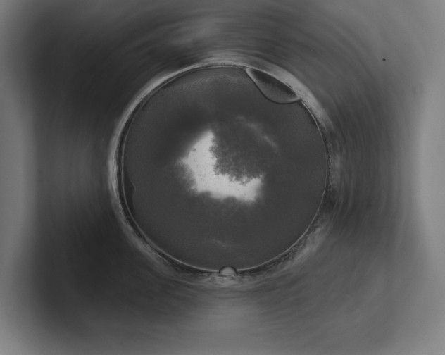 X0000102410955200808011605