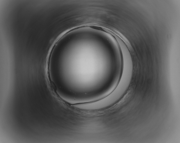 X0000102410956200808011605