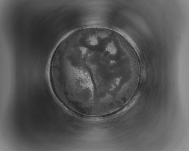 X0000102410957200808011605
