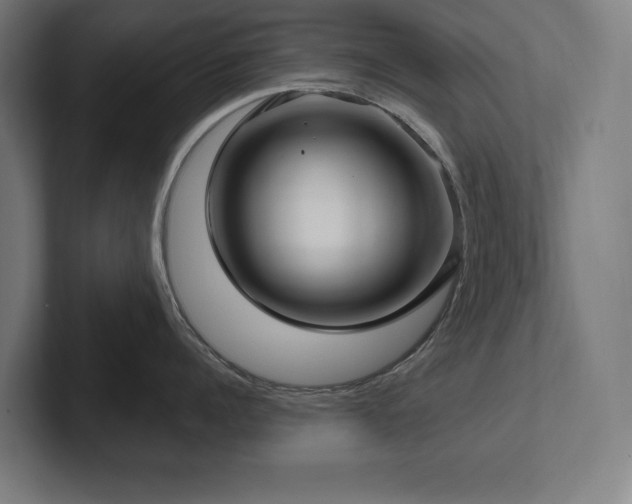 X0000102410960200808011605