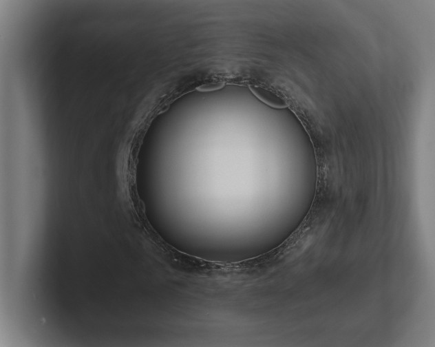 X0000102410961200808011604