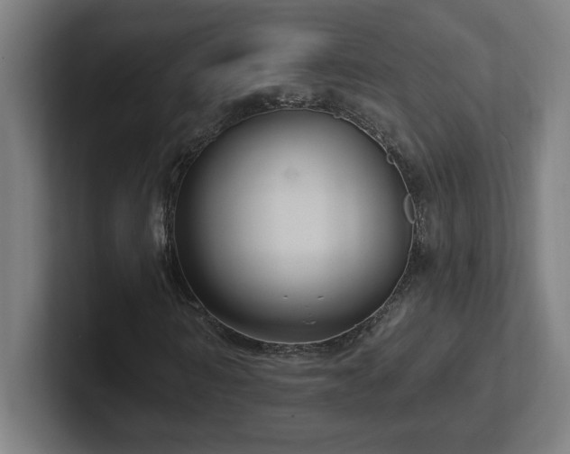X0000102410962200808011604