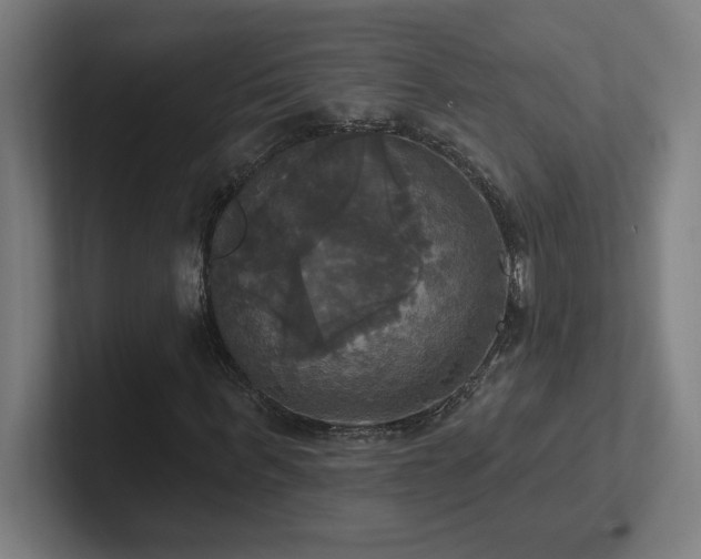 X0000102410963200808011604