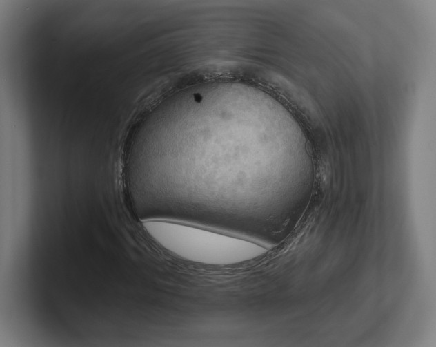 X0000102410964200808011604