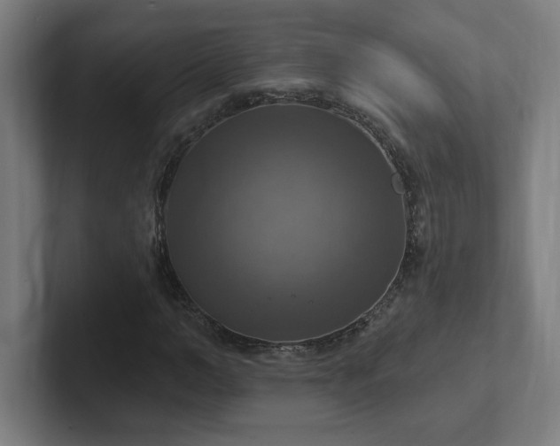X0000102410966200808011604
