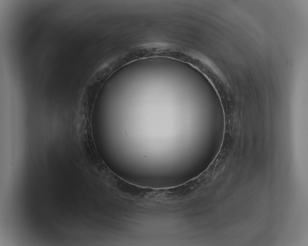 X0000102410967200808011604