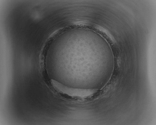 X0000102410968200808011604