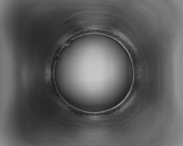 X0000102410969200808011604