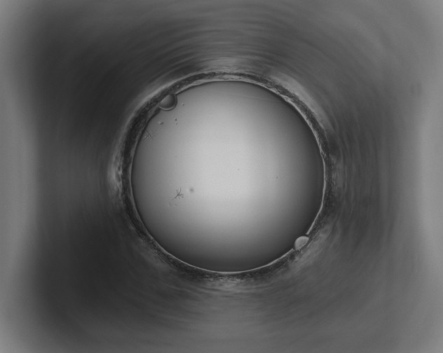 X0000102410971200808011604