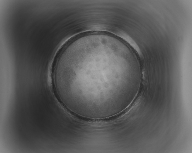 X0000102410972200808011604