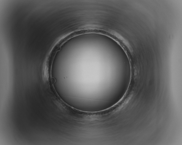 X0000102410973200808011604