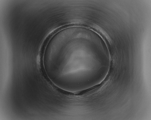 X0000102410975200808011604