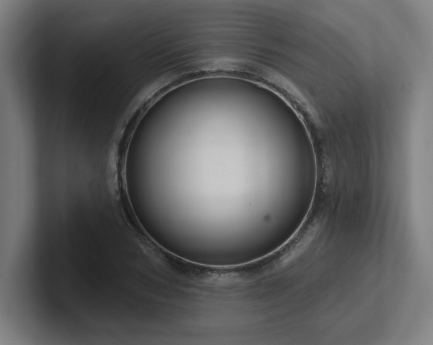 X0000102410978200808011604