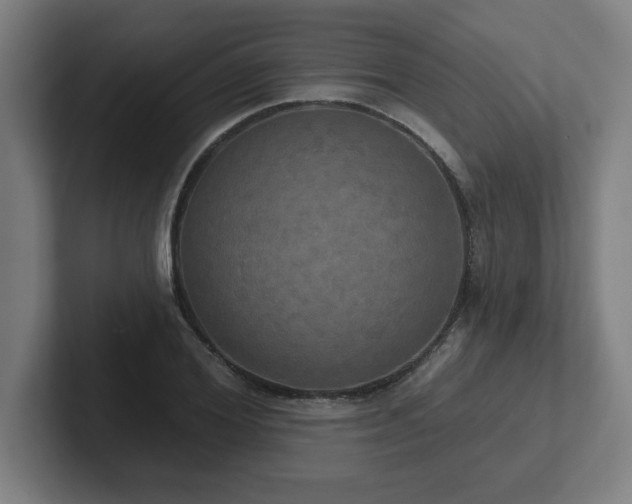 X0000102410980200808011604