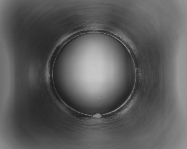X0000102410981200808011604