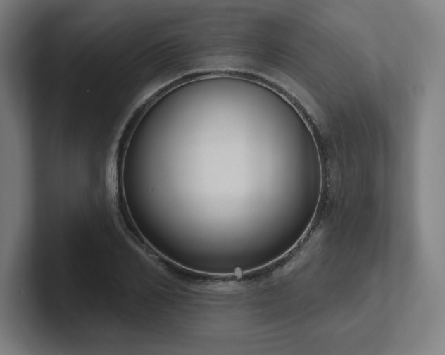 X0000102410982200808011604