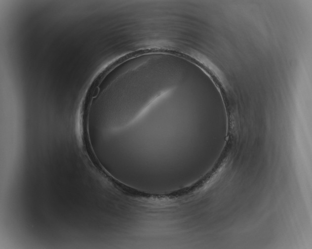 X0000102410983200808011604