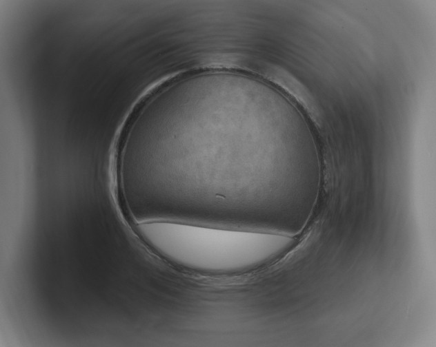 X0000102410984200808011604