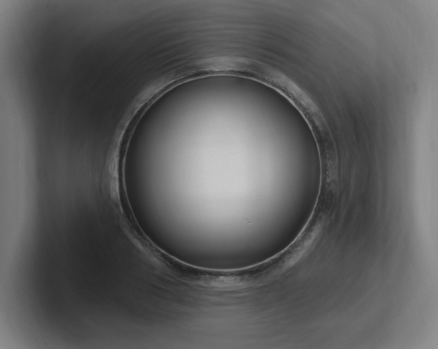X0000102410986200808011604