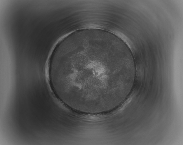 X0000102410987200808011604