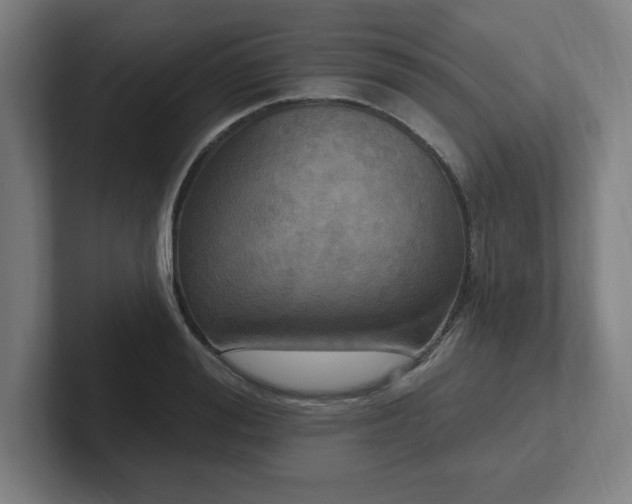 X0000102410988200808011604
