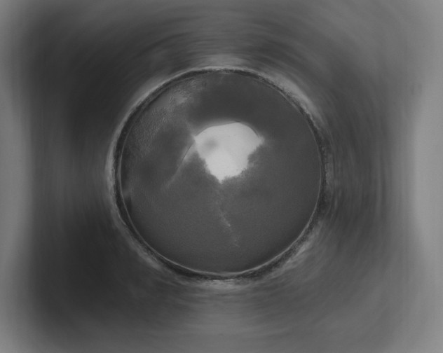 X0000102410990200808011604
