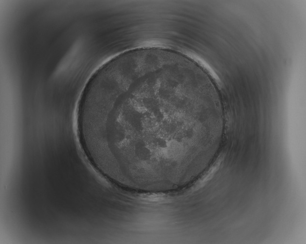 X0000102410991200808011603