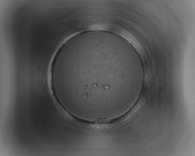X0000102410992200808011603