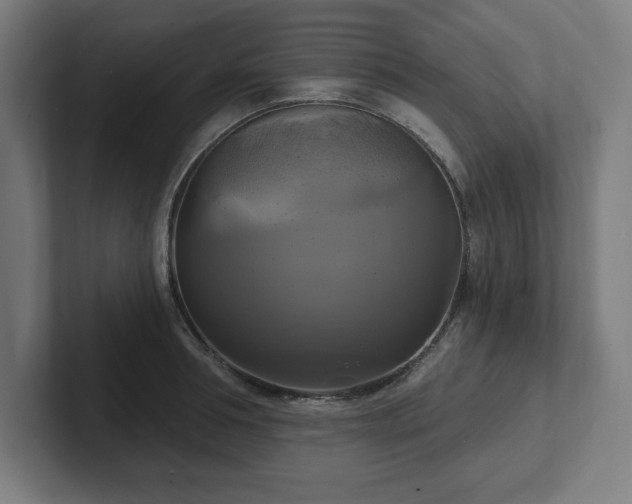 X0000102410994200808011603