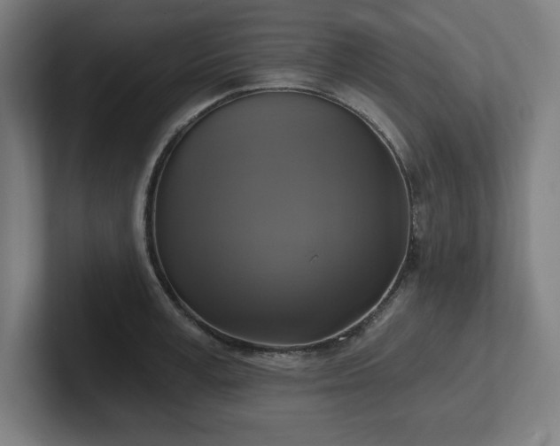 X0000102410995200808011603