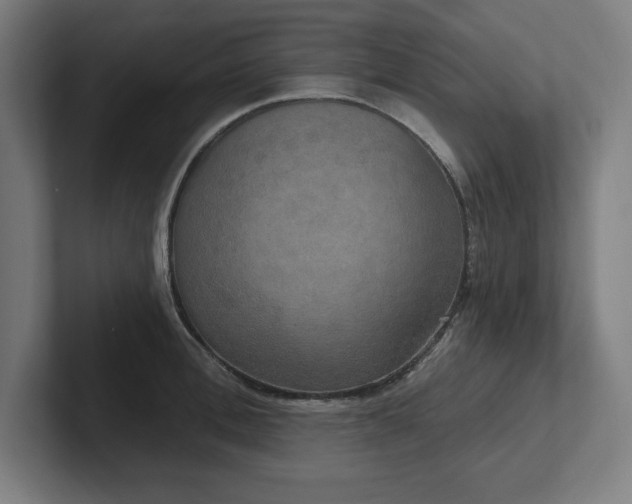 X0000102410996200808011603