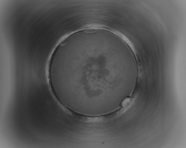 X0000102410997200808011603