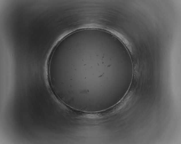 X0000102410998200808011603