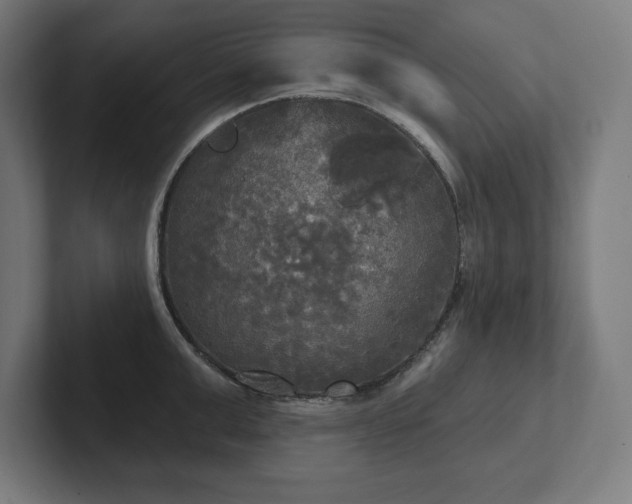 X0000102410999200808011603