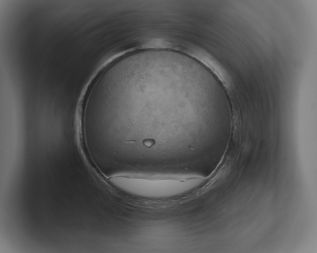 X0000102411000200808011603