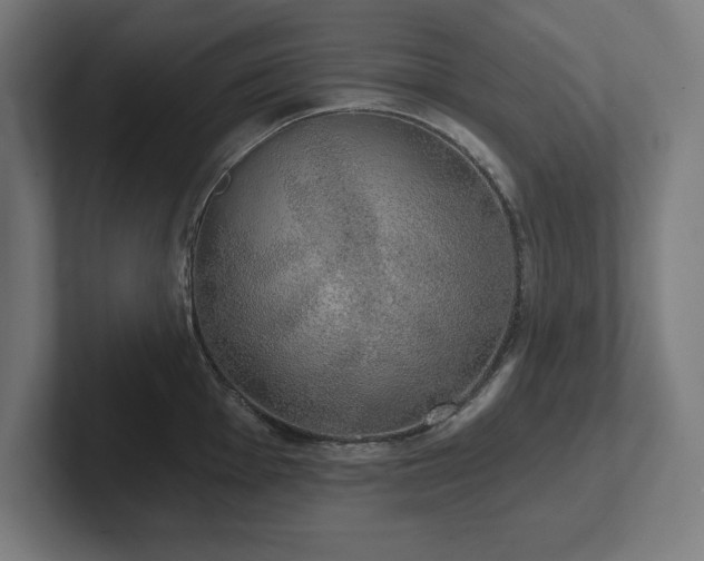 X0000102411001200808011603