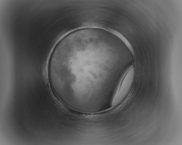 X0000102411004200808011603