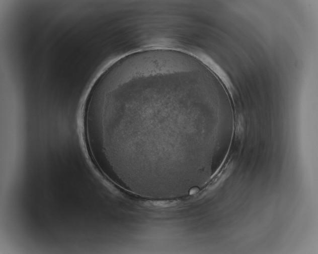 X0000102411005200808011603