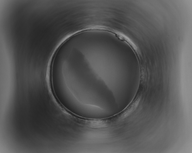 X0000102411007200808011603