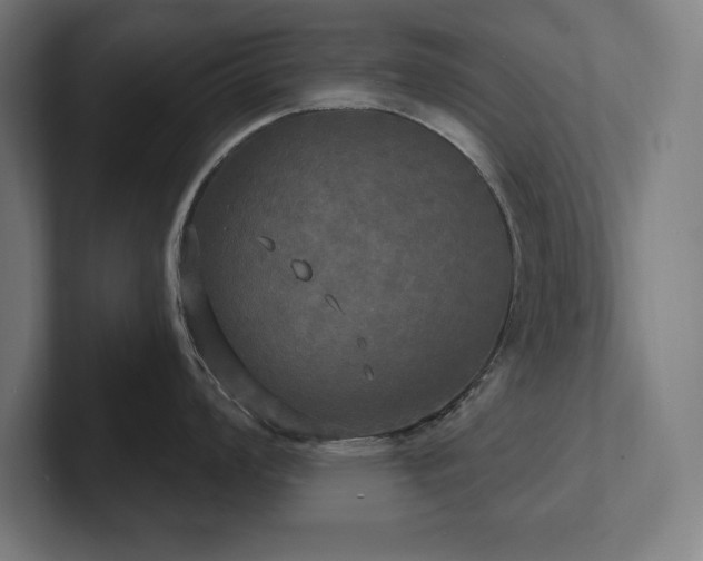 X0000102411008200808011603