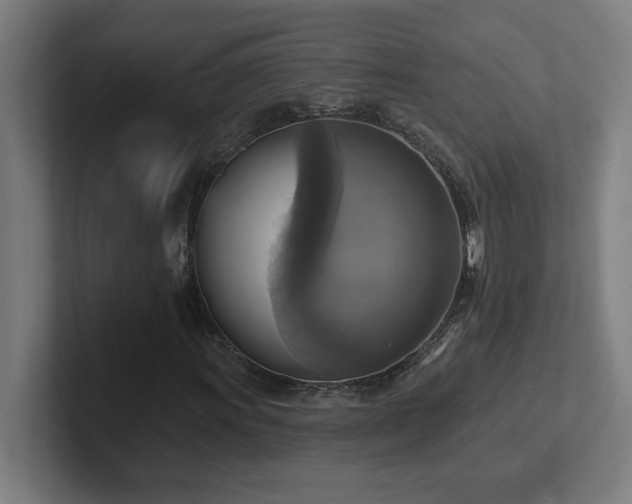 X0000102411011200808011603