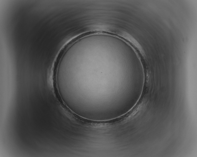 X0000102411020200808011603