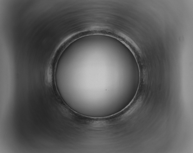 X0000102411021200808011603