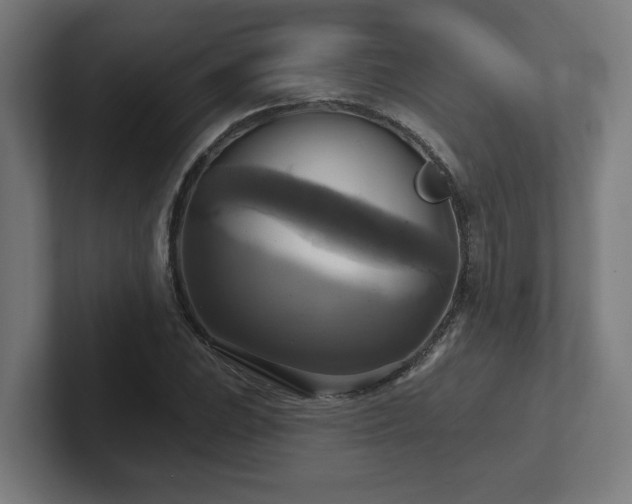 X0000102411023200808011603