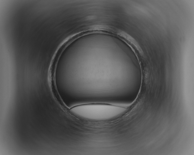 X0000102411024200808011603