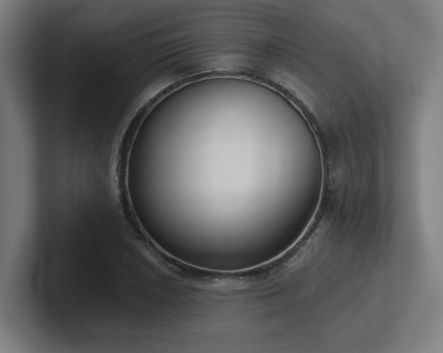 X0000102411026200808011603