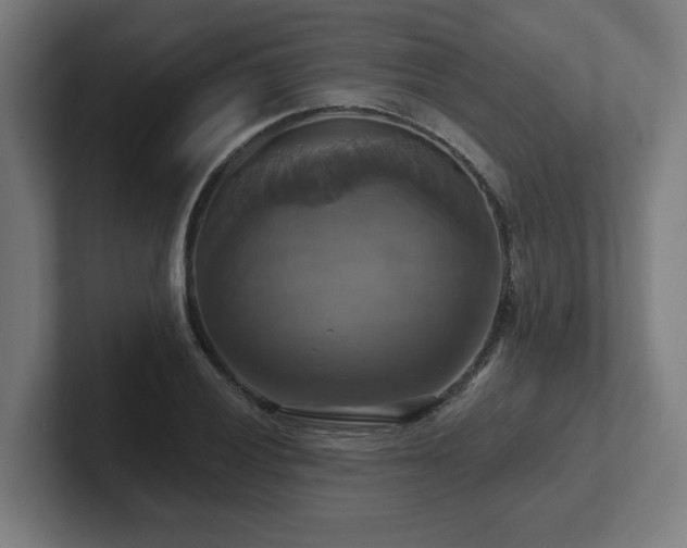 X0000102411028200808011603