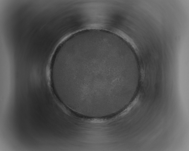 X0000102411029200808011603